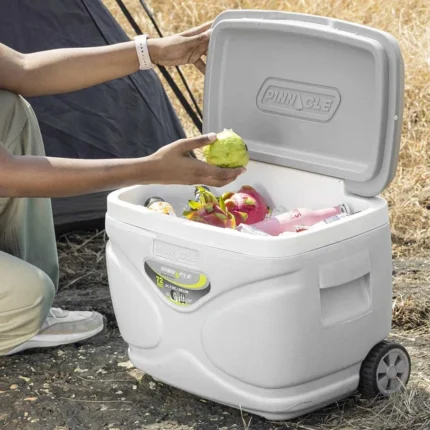Pinnacle Prudence Marine Tekerlekli Buzluk 30 Litre